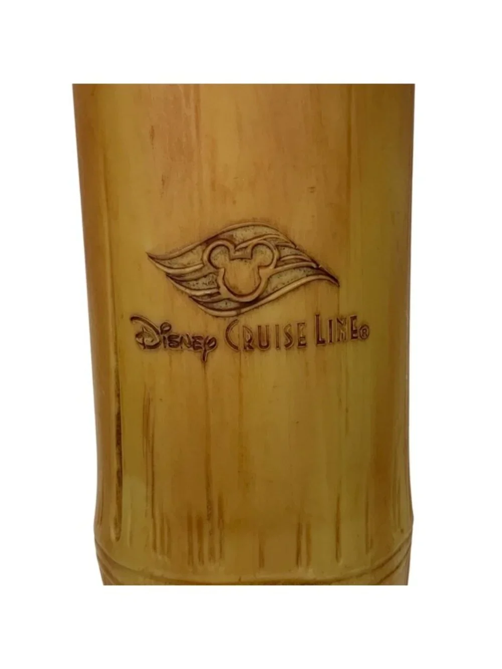 Disney cruise line